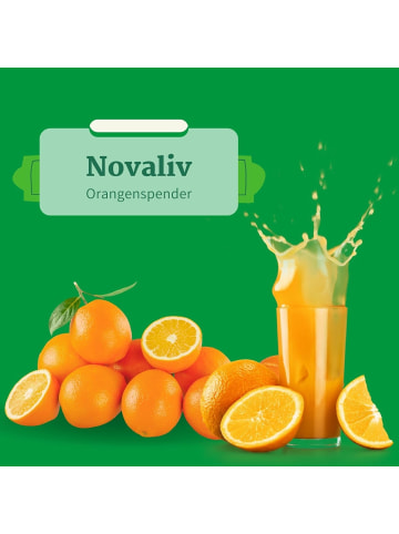 Novaliv 6X praktischer Orangen Aufbewarer 9x44x32cm aus verchromtem St in Silber