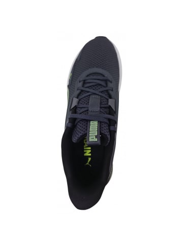 Sneaker Disperse XT in Grau