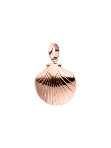Charm Seashell Rosegold