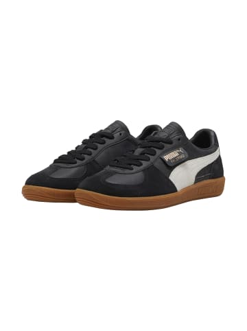 Pounce Lite Schnür-Sneaker Schwarz
