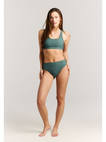 " MM SAMAE in Laurel Green