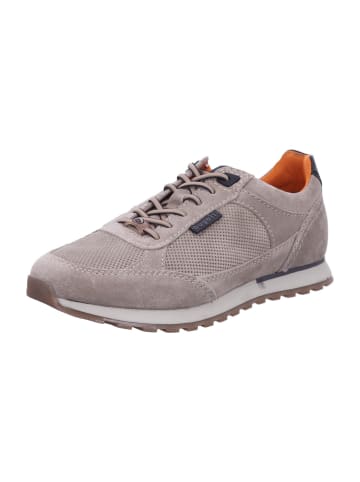 Sneaker Low in beige