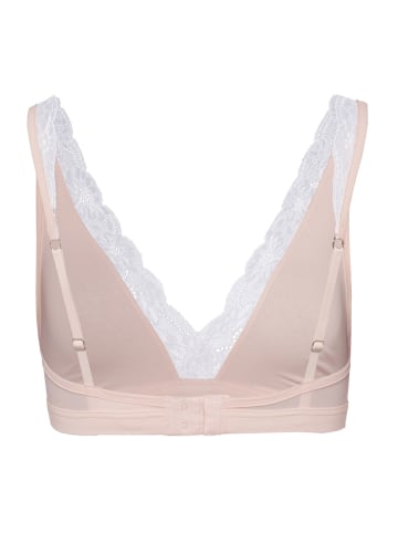 Soft Cup BH Cotton Lace in powder