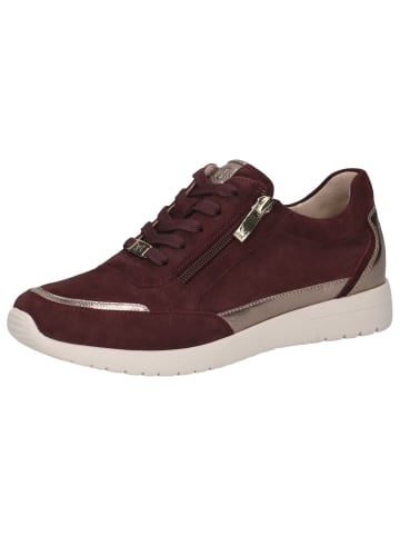Halbschuh in BORDEAUX COMB