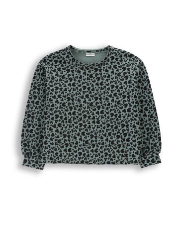 Baumwoll-sweatshirt in grün
