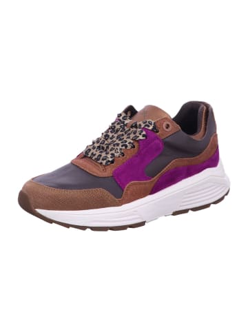 Damen- Schnürschuhe Golden Gate Lady in Braun