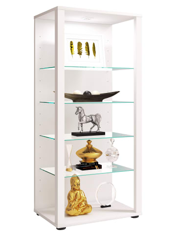 Holz Glas Stand Vitrine Sammelvitrine Glasol lll in Weiß