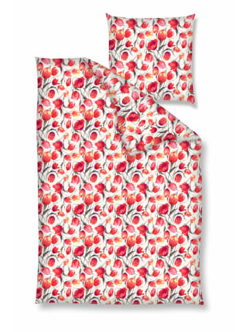 Renforcé Bettwäsche - Tulpen, rot in rot