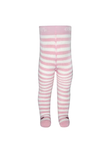1er Pack Strumpfhose Bär/Ringel in rosa