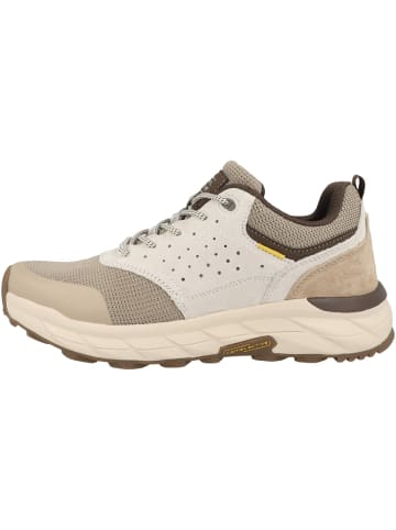 Sneaker low 54CCA09 in beige