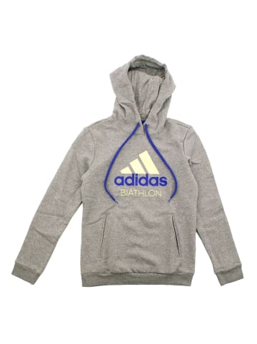Hoodie Graphic Biathlon in Grau