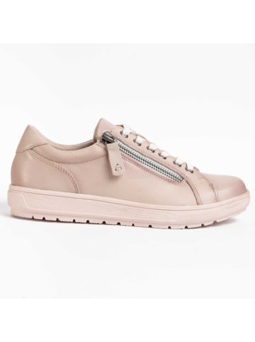 Schnürschuhe Ailina weiß in Weiß