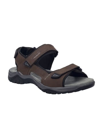 Trekkingsandalen in Braun