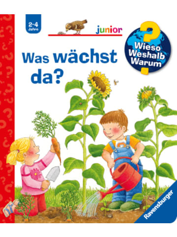Buch - Wieso? Weshalb? Warum? junior, Band 22 - Was wächst da?