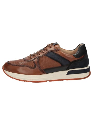 Sneaker Rojaro-719 in dunkelbraun