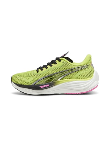 Laufschuhe Velocity NITRO 3 Psychedelic Rush Wn in green