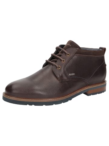 Stiefelette Rostolo-706-TEX in dunkelbraun