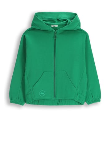 Gefütterte Kapuzenjacke mit Reißverschluss in grün