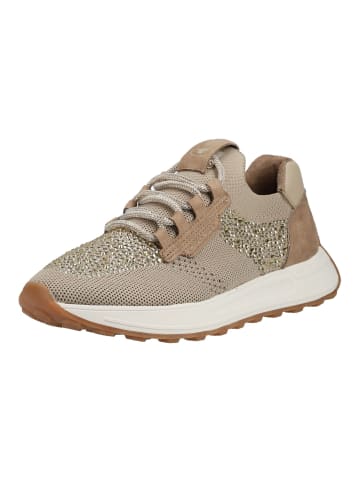 Sneaker Sand