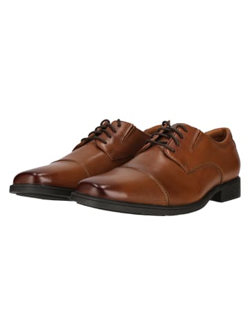 Schnürschuhe Tilden Cap in 5234 Dark Tan Lea