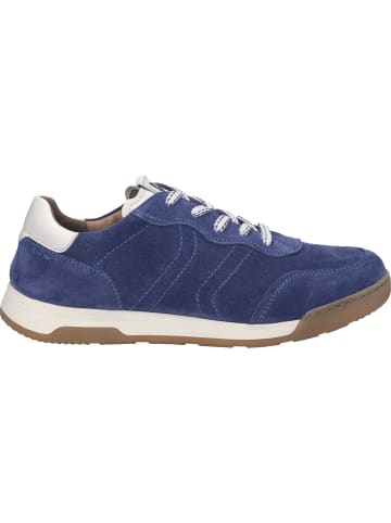 Sneaker Blake 03 in grau