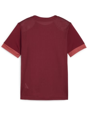 Sportshirt "TeamGoal Matchday Jersey jr" in Rot