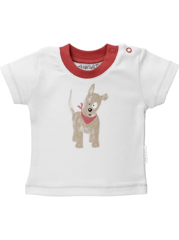 Babysets Little Paw in multicolor