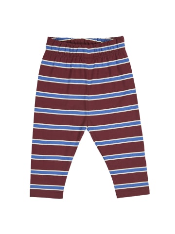 Babyhose 1535122700 in rot