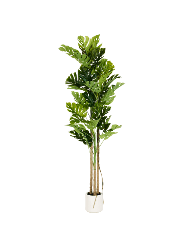 Kunstpflanze MONSTERA PLANT in Grün/Schwarz - (W) 71 x (H) 221 x (L) 71 cm