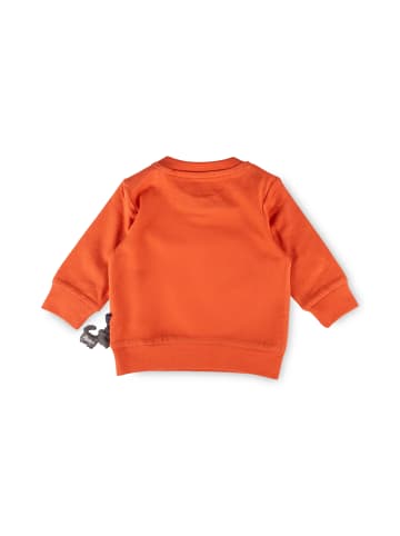 Langarmshirt in orange