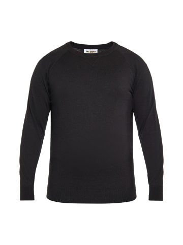 Herren Pullover in SCHWARZ