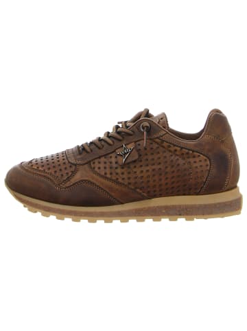 Sneaker Low in grau