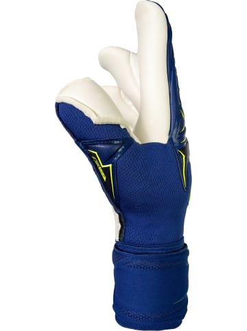 Torwarthandschuhe Attrakt Duo Finger Support in 4409 premium blue/sfty yellow