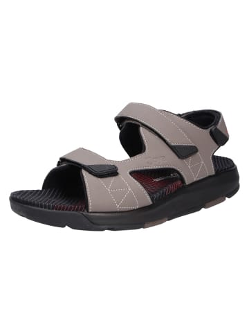 Sandale ALEXANDER BROWN in braun