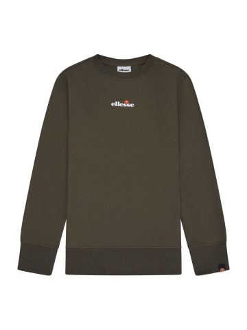 Sweatshirt in Dunkelgrün