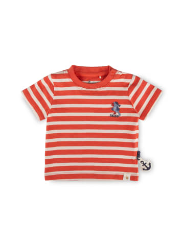 T-Shirt Ahoi Little Pirate in Rot gestreift