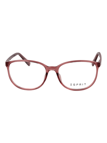 Damen Optische Fassungen Panto Rose