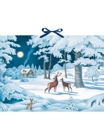 Kalender - Wand-Adventskalender - Wintertiere bei Nacht