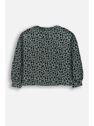 Baumwoll-sweatshirt in grün