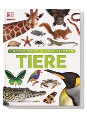 Buch - Unsere Welt in 1000 Bildern. Tiere