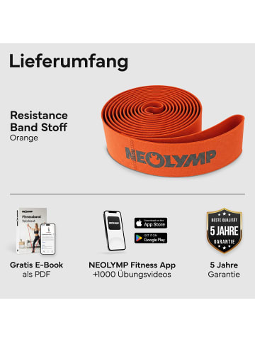 Fitnessband "FBS210" Stufe 2 in Orange, 7-20 kg