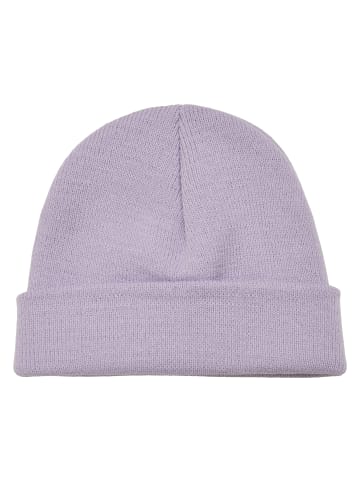 Beany in lilac