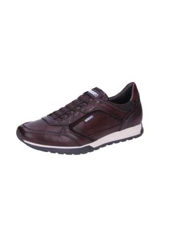 Sportlicher Slipper in braun