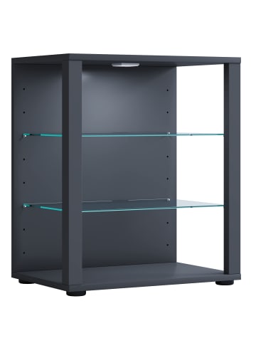 Holz Glas Stand Vitrine Sammelvitrine Glasol L in Anthrazit