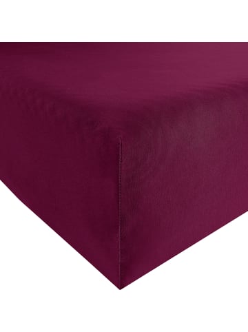 Interlock-Jersey Spannbettlaken Memmingen in bordeaux