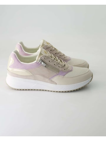 Sneaker low in Beige