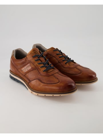 Sneaker low in Braun