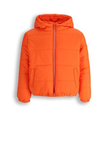 Gesteppte Übergangsjacke in orange