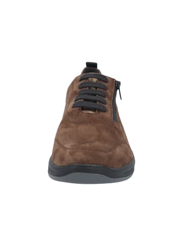 Sneaker Low in braun