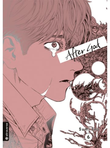 Buch - After God 06